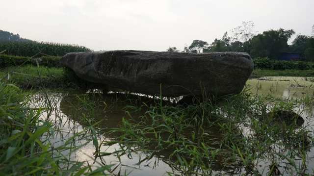 Cu thach Dai Dinh.jpg